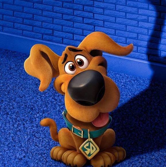 Meet your Posher, Scott - Picture 1 of 1